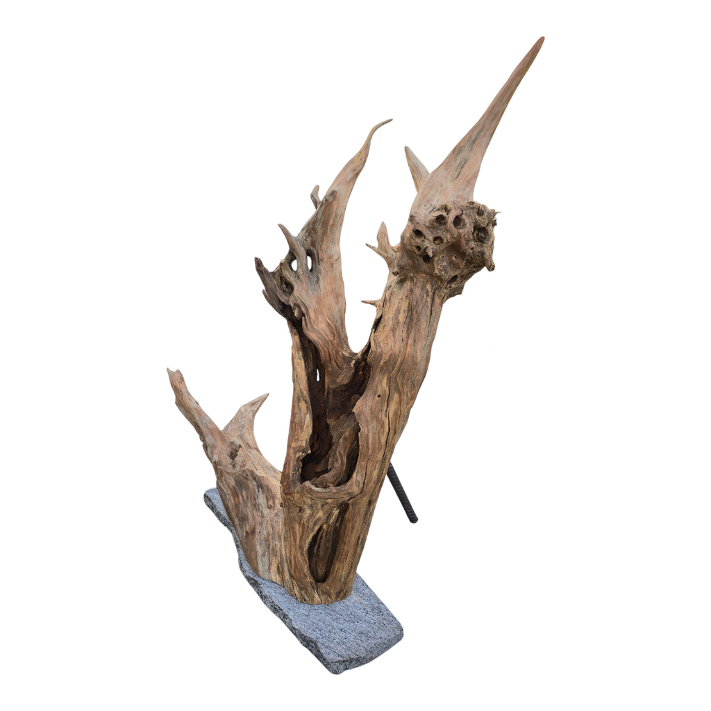 Scultura luminosa in radice naturale con ripiano in vetro.