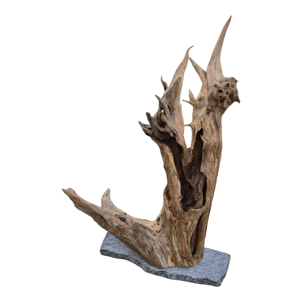 Scultura luminosa in radice naturale con ripiano in vetro.